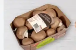 tegut tegut... Champignons Angebot