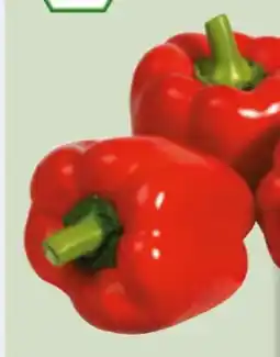 Edeka Xpress Bio-Paprika Rot Angebot