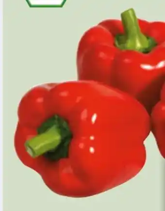 Edeka Xpress Bio-Paprika Rot Angebot