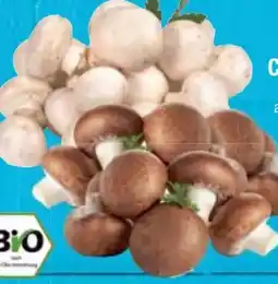 E-Center Bio-Champignons Angebot