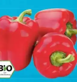 E-Center Bio-Paprika Rot Angebot