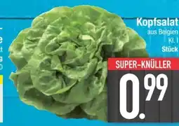 E-Center Kopfsalat Angebot