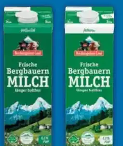 E-Center Berchtesgadener Land Frische Bergbauern Milch Angebot