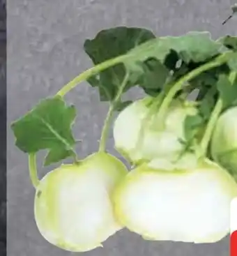 Edeka Kohlrabi Angebot