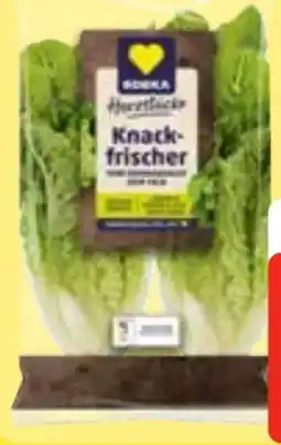 Edeka Frischemarkt Edeka Herzstücke Mini Romanasalat Angebot