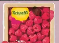 Edeka Driscoll's Himbeeren Angebot