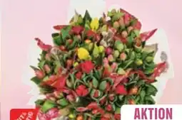 Edeka Gut & Günstig Tulpen Angebot