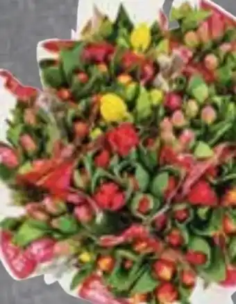 Edeka Frischemarkt Gut & Günstig Tulpen Angebot