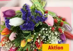 REWE Center Strauß Tulpen Festival Angebot