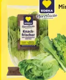 Edeka Edeka Herzstücke Mini Romanasalat Angebot