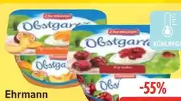 Edeka Ehrmann Obstgarten Angebot