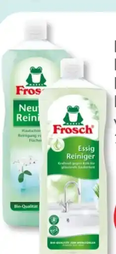 Budni Frosch Essig Reiniger Angebot