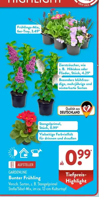 Aldi Süd Gardenline bunter frühling Angebot