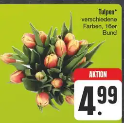 Edeka Tulpen Angebot