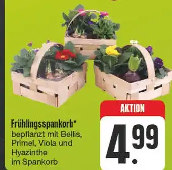 Edeka Frühlingsspankorb Angebot