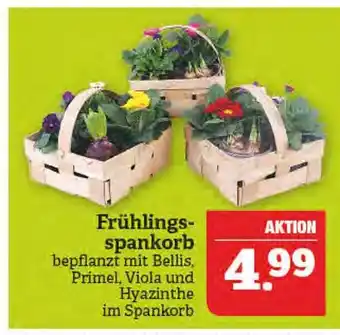 Marktkauf Frühlingsspankorb Angebot