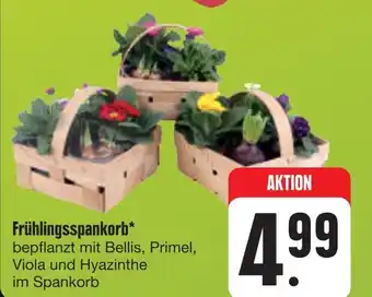 E-Center Frühlingsspankorb Angebot