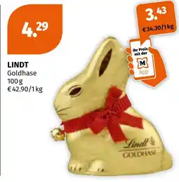 Müller Lindt goldhase Angebot