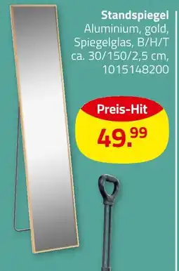 ROLLER Standspiegel Angebot