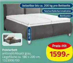 ROLLER Polsterbett Angebot