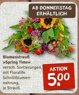 nahkauf Blumenstrauß spring time Angebot