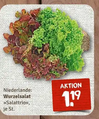 nahkauf Salattrio Angebot