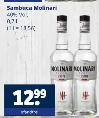 Getränkewelt Molinari sambuca Angebot