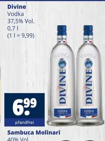 Getränkewelt Divine vodka Angebot