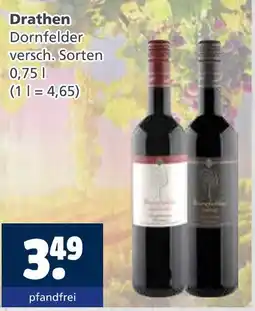 Getränkewelt Drathen dornfelder Angebot