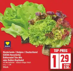 Edeka Edeka herzstücke ballensalat trio-mix oder ballen-kopfsalat Angebot