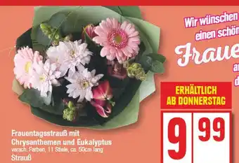 Edeka Frauentagsstrauß mit chrysanthemen und eukalyptus Angebot