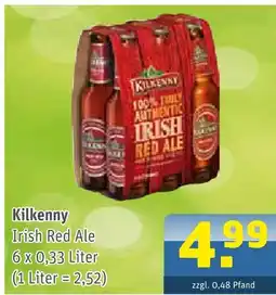 Getränke Arena Kilkenny irish red ale Angebot