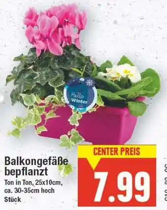 E-Center Balkongefäße bepflanzt Angebot