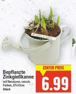 E-Center Bepflanzte zinkgießkanne Angebot