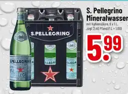 trinkgut S. pellegrino mineralwasser Angebot