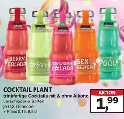 Lösch Depot COCKTAIL PLANT Angebot