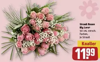 REWE Strauß Rosen Big Love Angebot