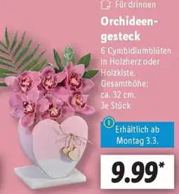 Lidl Orchideengesteck Angebot