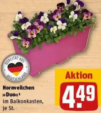 REWE Hornveilchen Duo Angebot