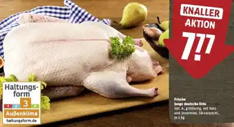 REWE Frische junge deutsche Ente Angebot