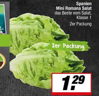 L. STROETMANN GROSSMARKT Mini Romana Salat Angebot