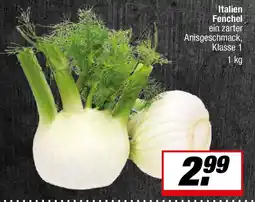 L. STROETMANN GROSSMARKT Italien Fenchel Angebot