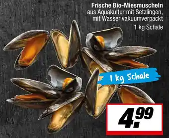 L. STROETMANN GROSSMARKT Frische Bio-Miesmuscheln Angebot