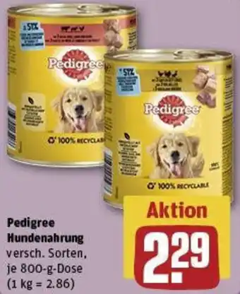 REWE Pedigree Hundenahrung Angebot