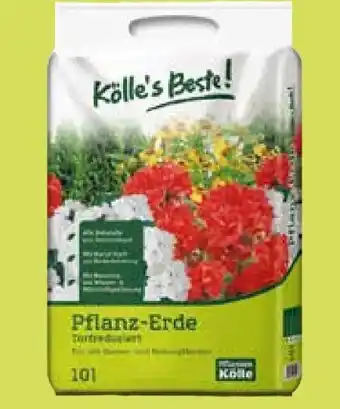 Pflanzen Kölle Kölle's Beste Pflanz-Erde Torfreduziert Angebot