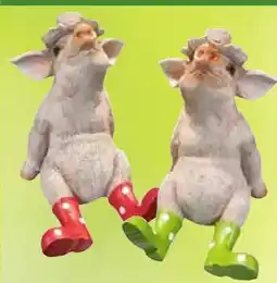 Pflanzen Kölle Figur Schwein Angebot