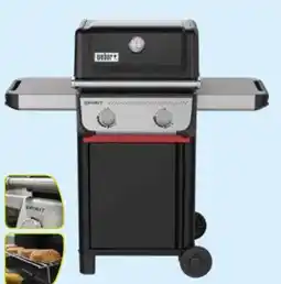 Pflanzen Kölle Weber Gasgrill Spirit E-210 Angebot