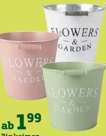 Pflanzen Kölle Zinkeimer Flowers & Garden Angebot