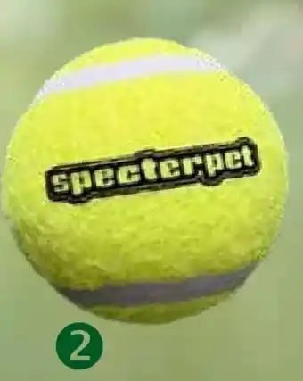 Pflanzen Kölle Specterpet Tennisball Angebot