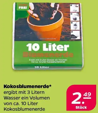 NETTO Kokosblumenerde Angebot